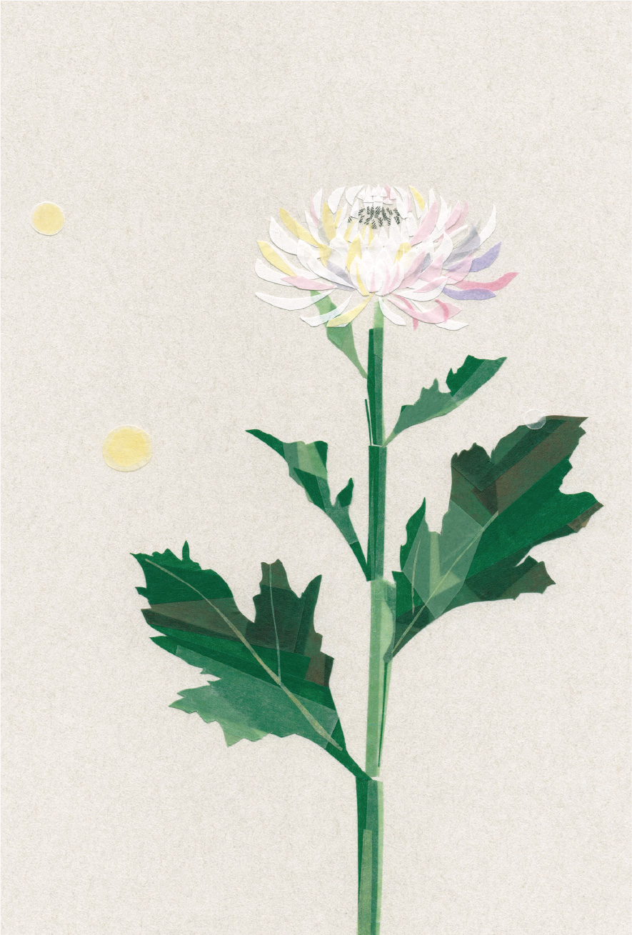 寒露イラスト